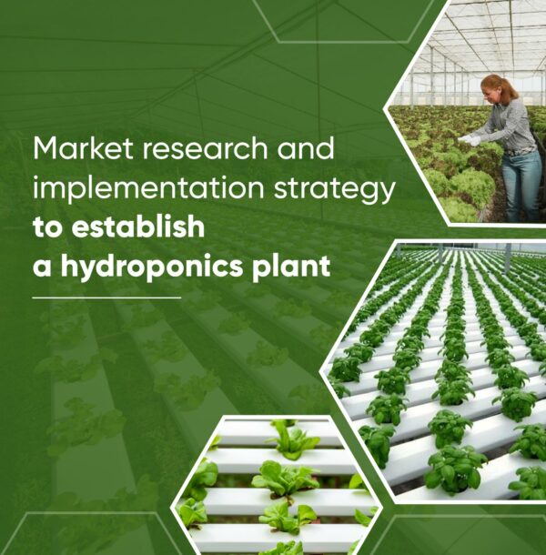 hydroponics