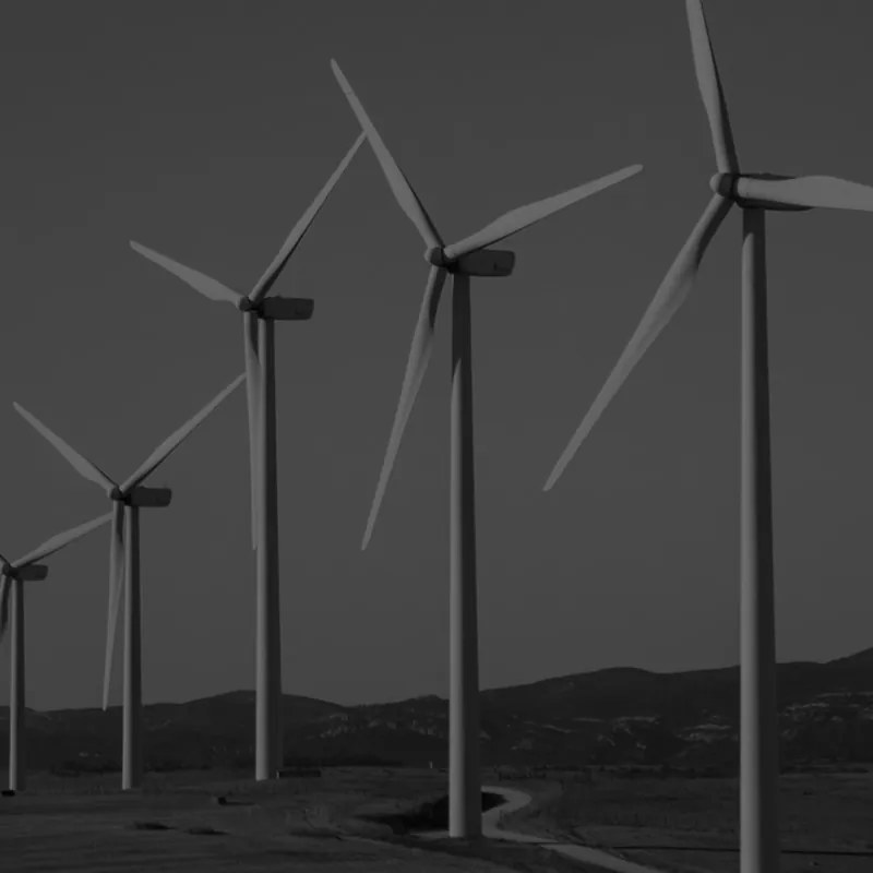 Renewable energy consulting services for environmental and sustainable business growth
