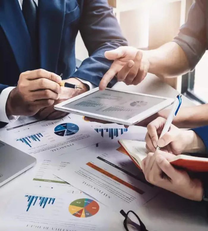 Business growth strategy and sales MIS audit by Stratefix