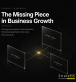 The missing piece in business growth